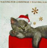Serviette Christmas Cat